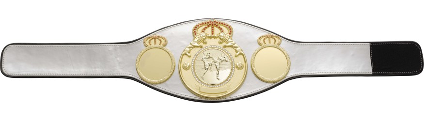 THAI BOXING CHAMPIONSHIP BELT PROLION/G/TBOG - AVAILABLE IN 6+ COLOURS THAI BOXING CHAMPIONSHIP BELT PROLION/G/TBOG - AVAILABLE IN 6+ COLOURS